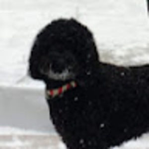 Meet your Posher, Sharon & scott